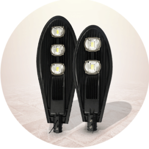 Street Light (COB) 100 W